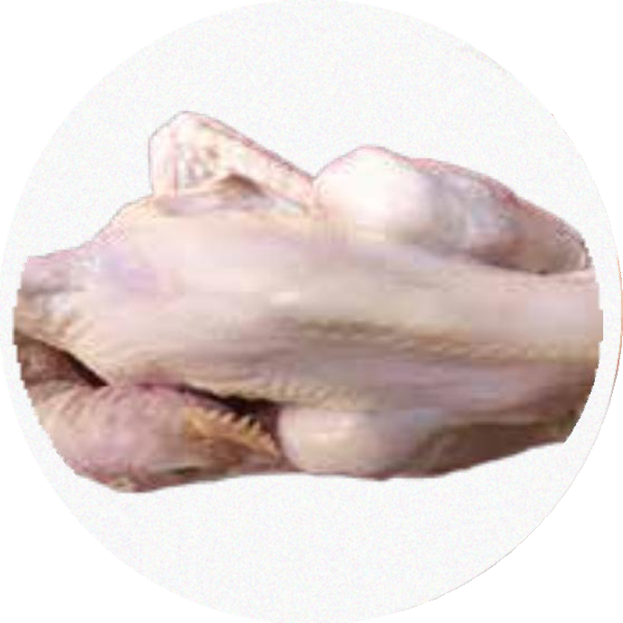 karkas ayam pejantan